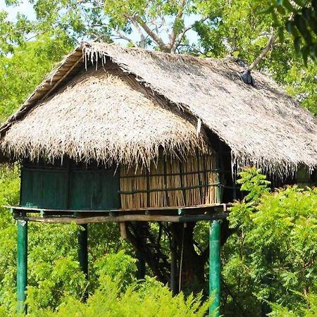 Yala Beddegama Eco Hotel Kataragama Kültér fotó