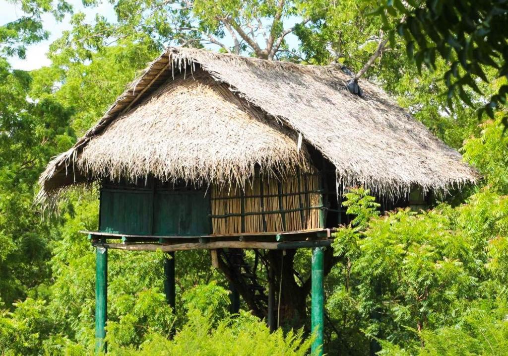 Yala Beddegama Eco Hotel Kataragama Kültér fotó