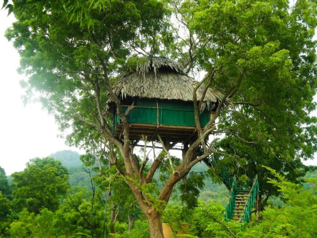 Yala Beddegama Eco Hotel Kataragama Kültér fotó