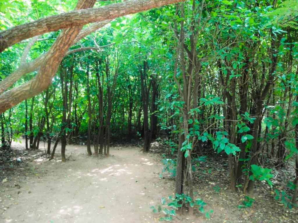 Yala Beddegama Eco Hotel Kataragama Kültér fotó