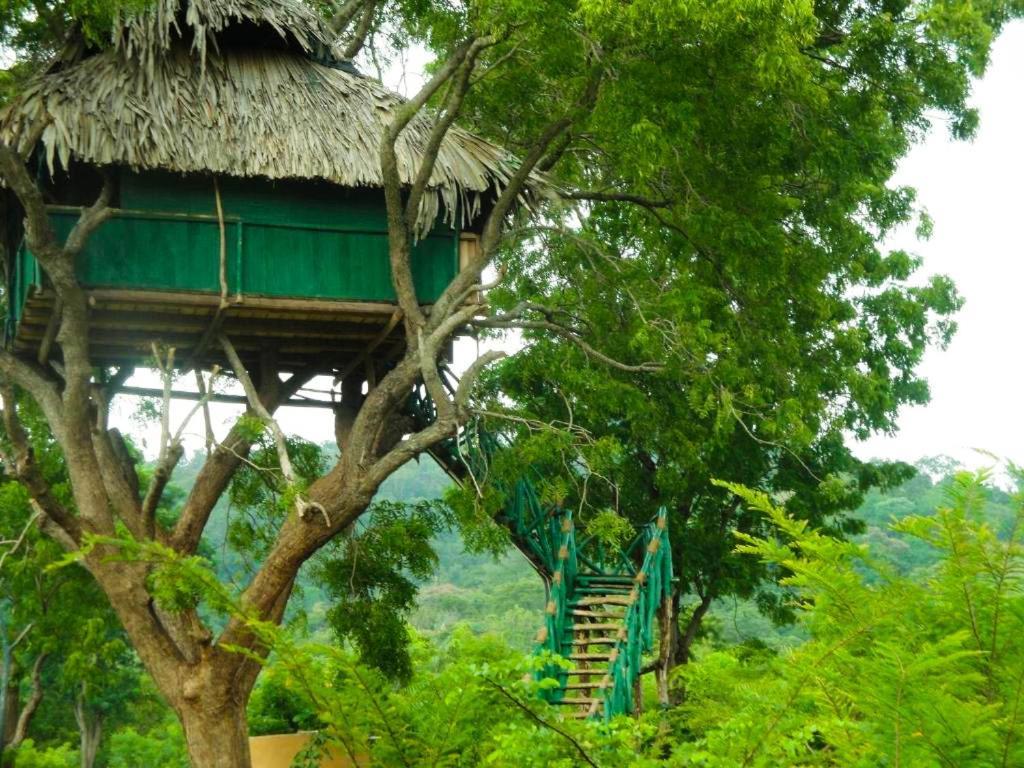 Yala Beddegama Eco Hotel Kataragama Kültér fotó