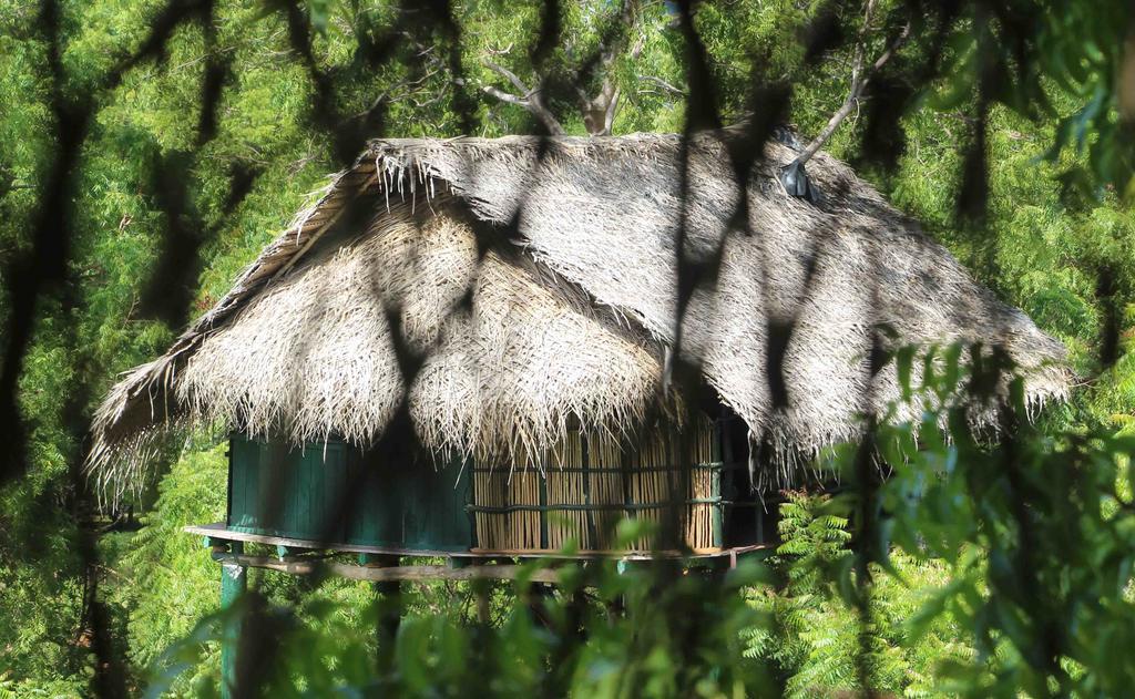 Yala Beddegama Eco Hotel Kataragama Kültér fotó