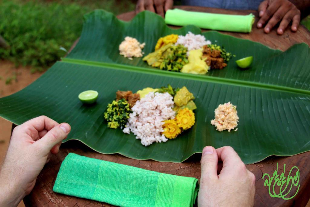 Yala Beddegama Eco Hotel Kataragama Kültér fotó