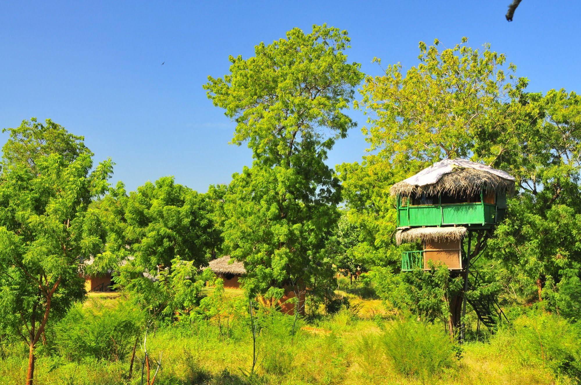Yala Beddegama Eco Hotel Kataragama Kültér fotó