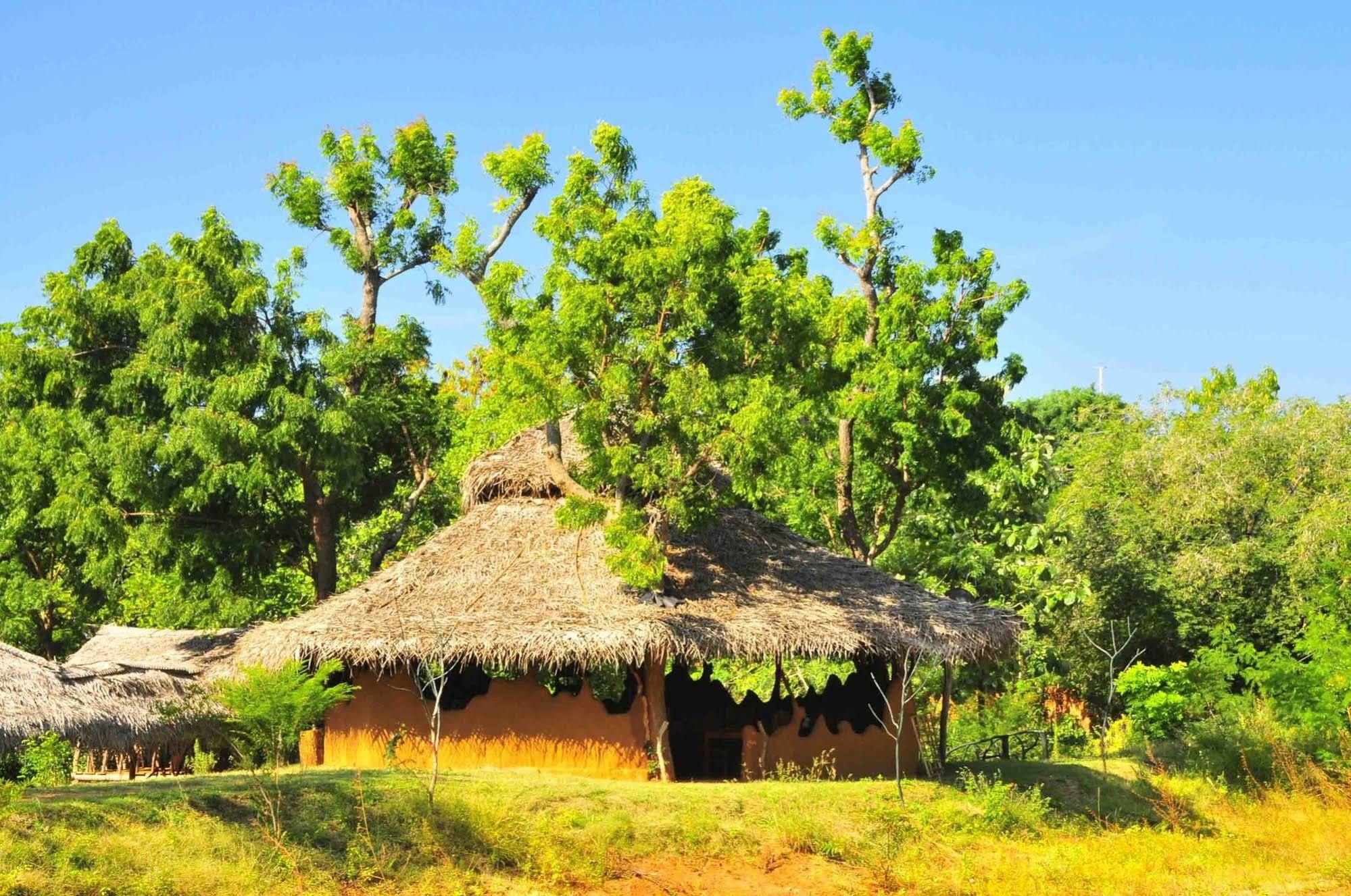 Yala Beddegama Eco Hotel Kataragama Kültér fotó